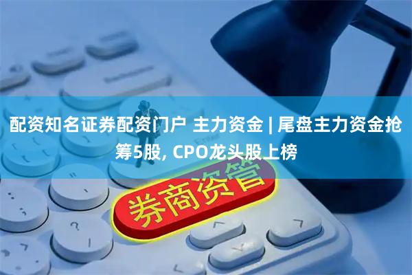 配资知名证券配资门户 主力资金 | 尾盘主力资金抢筹5股, CPO龙头股上榜