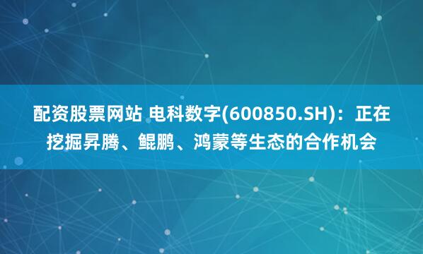 配资股票网站 电科数字(600850.SH)：正在挖掘昇腾、鲲鹏、鸿蒙等生态的合作机会